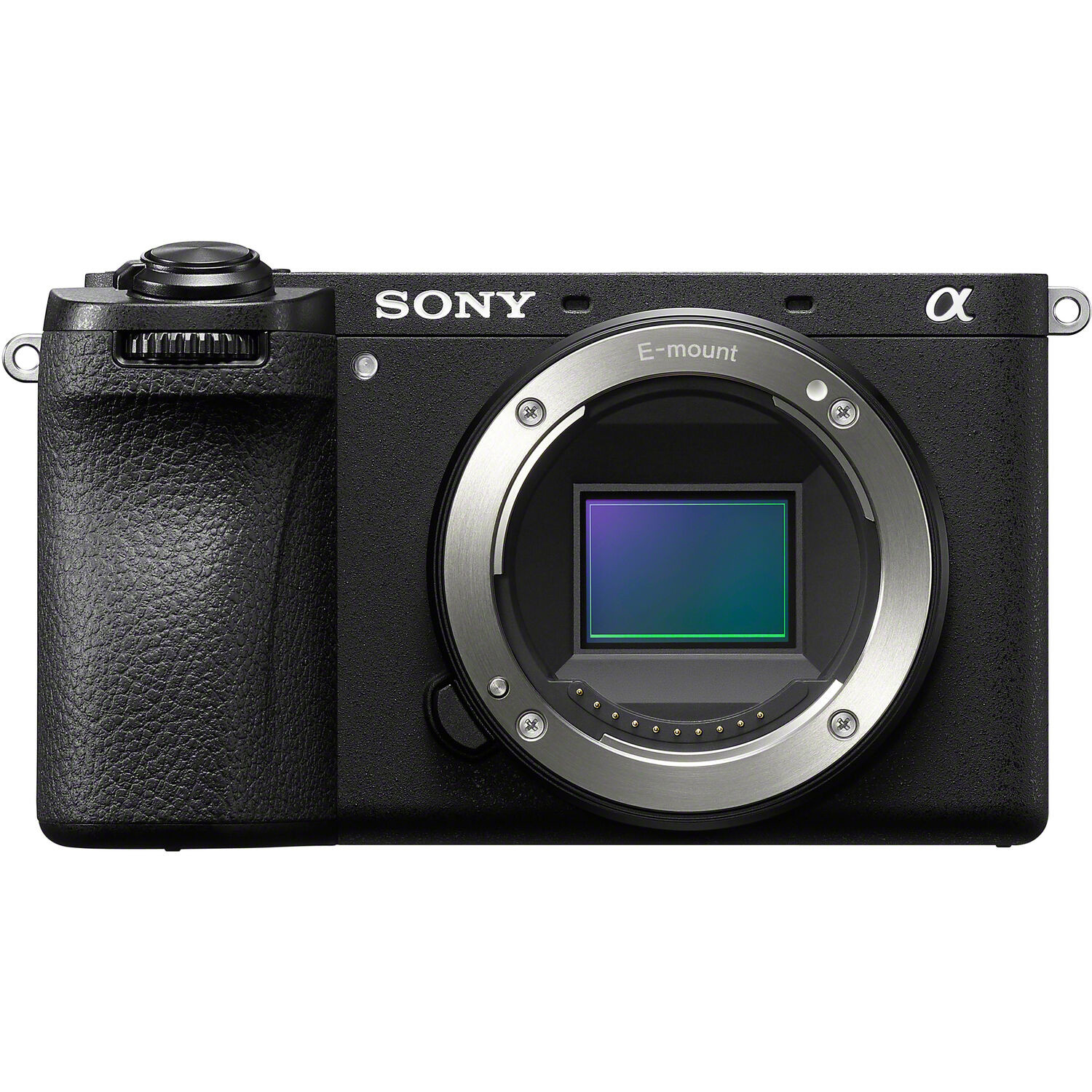 Sony A6700 70-350  Wildlife Kit