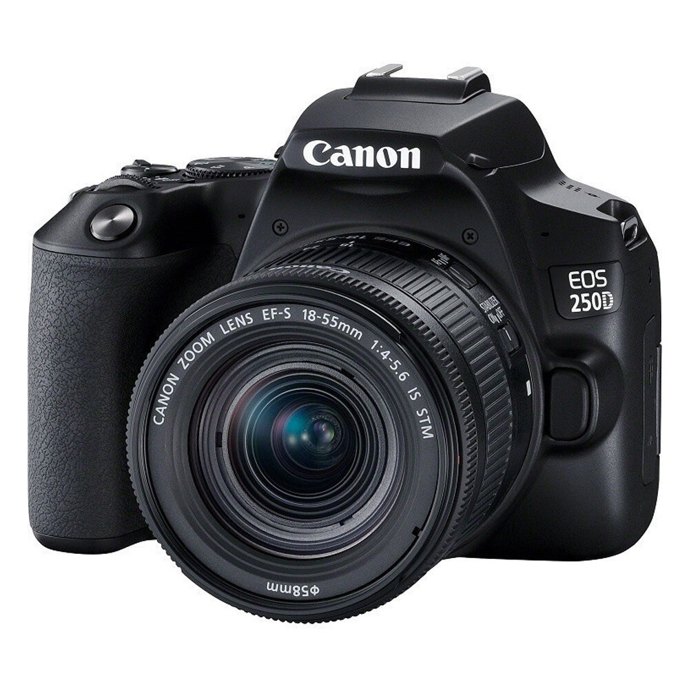 Mus Kijker charme Canon EOS 250D Zwart + 18-55mm IS STM