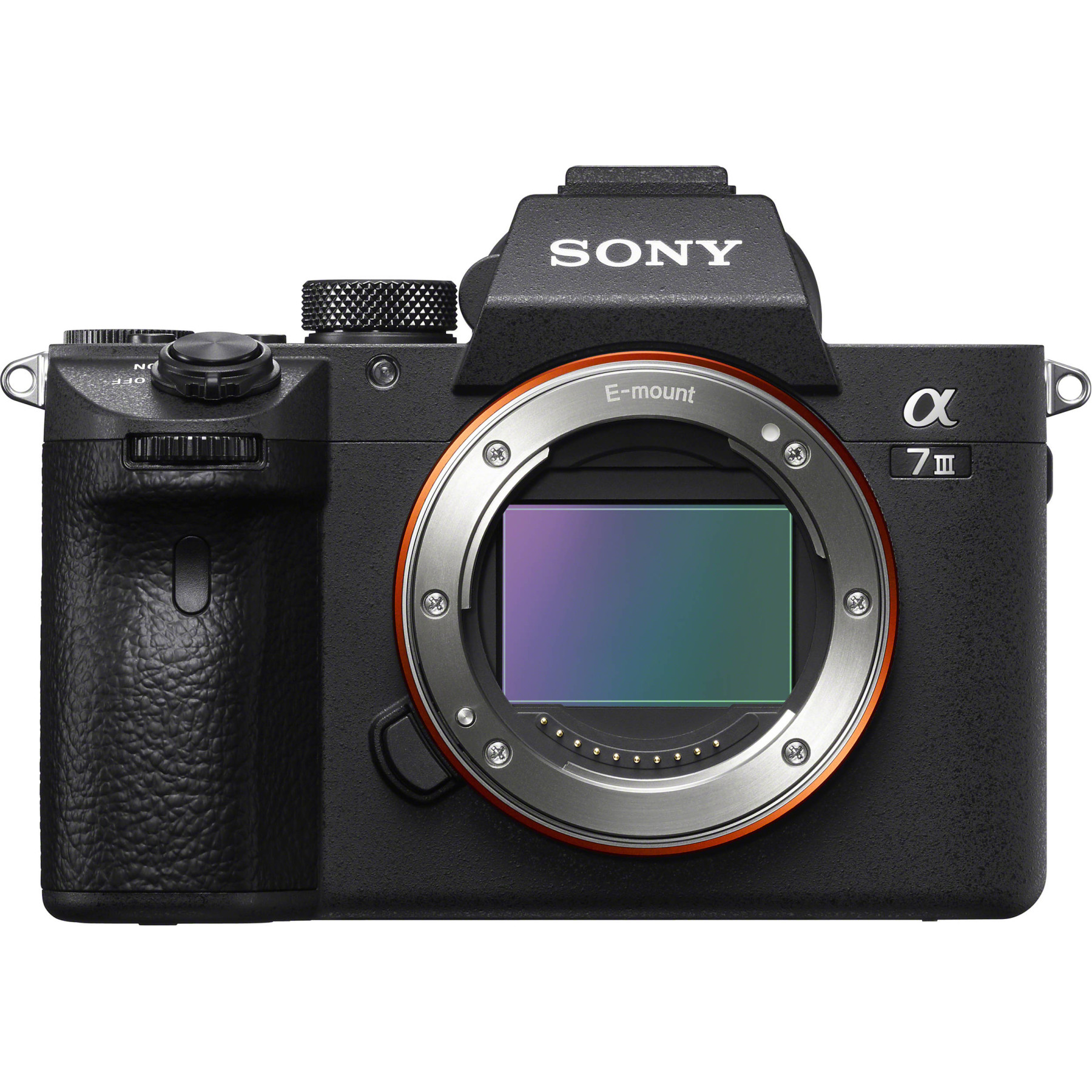 Sony A7 III + FE 24-70mm f/2.8 GM II