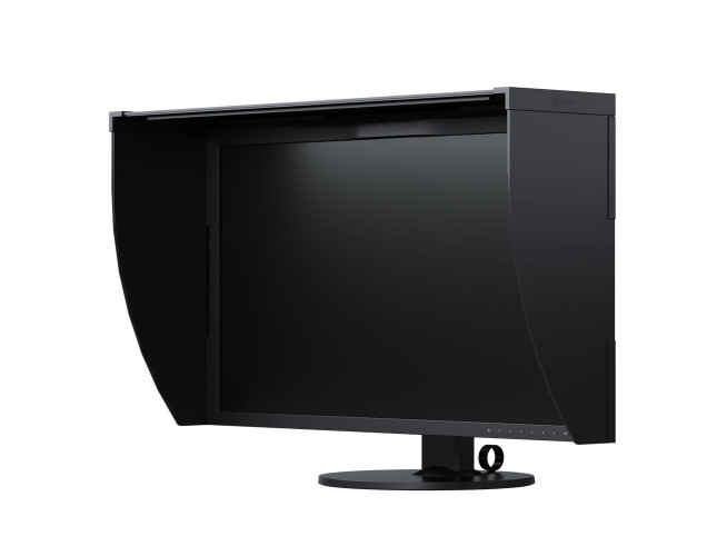 Eizo CG319X 31 inch monitor
