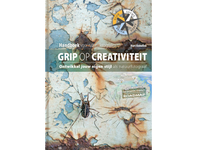 Grip op creativiteit