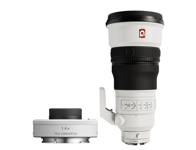 Sony FE 300mm f/2.8 GM OSS + FE 1.4x Teleconverter