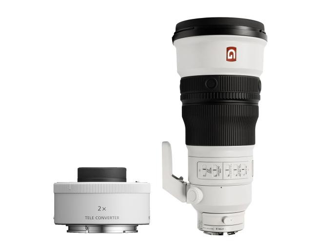 Sony FE 300mm f/2.8 GM OSS + FE 2.0x Teleconverter