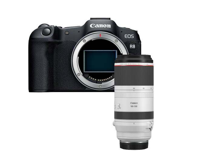 Canon EOS R8 + RF 100-500mm F4.5-7.1 L IS USM