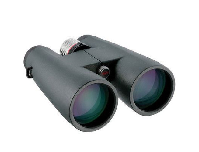 Kowa BD56 XD 12X56