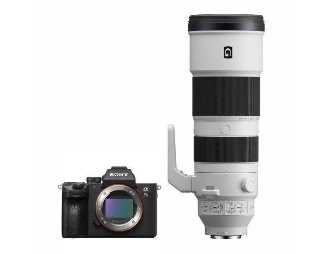 Sony A7 III + FE 200-600mm
