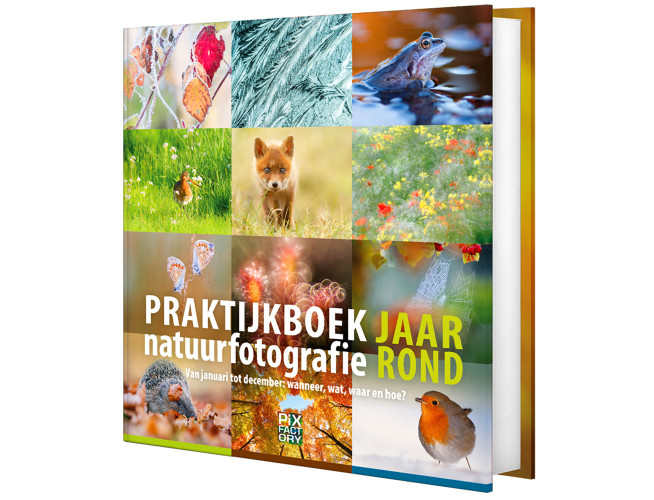 Birdpix Praktijkboek Natuurfotografie Jaarrond