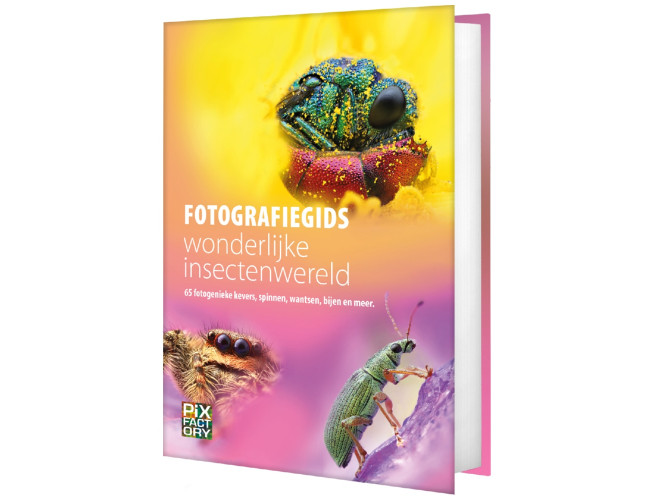 Fotografiegids wonderlijke insectenwereld