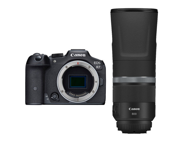 Canon EOS R7 + RF 800mm f/11 IS STM