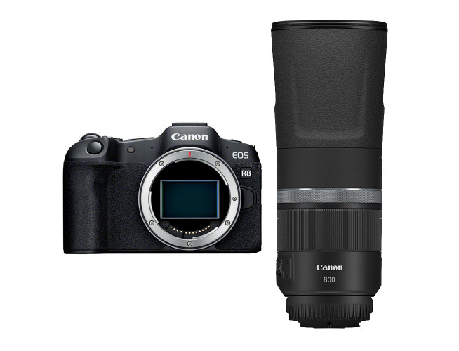 Canon EOS R8 + RF 800mm f/11 IS STM