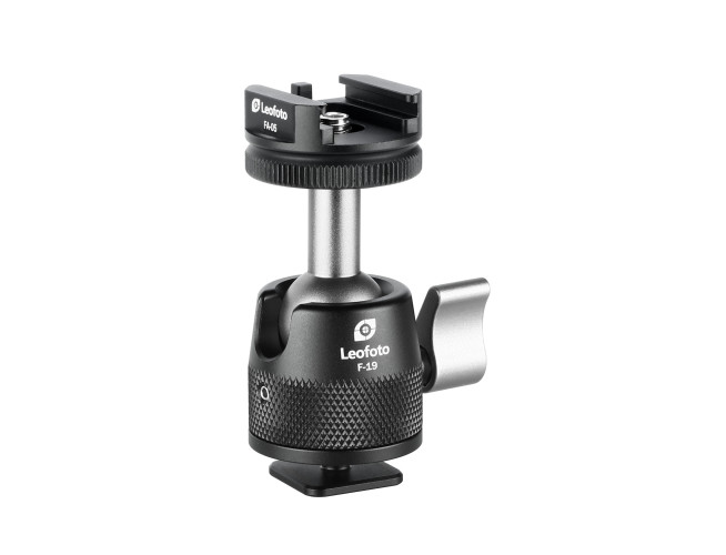 Leofoto Ballhead F-19