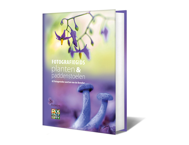 Fotografiegids planten en paddenstoelen