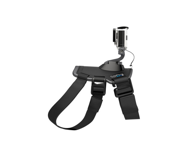 GoPro Fetch (Dog Harness)