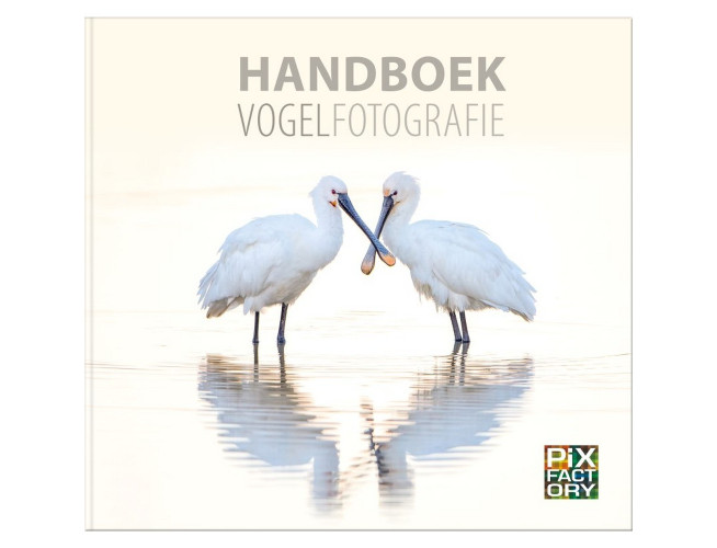 Handboek vogelfotografie