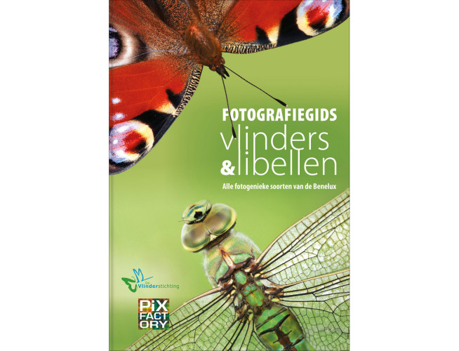 Fotografiegids Vlinders En Libellen