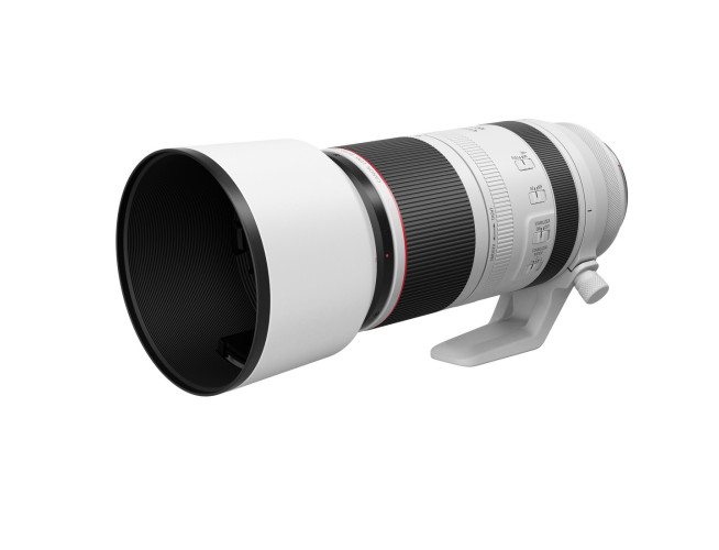 Canon RF 100-500mm f/4.5-7.1L IS USM