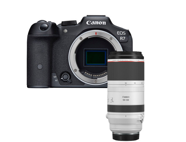 Canon EOS R7 + RF 100-500mm F4.5-7.1 L IS USM