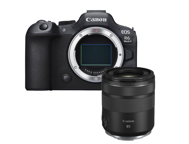 Canon EOS R6 Mark II + RF 85mm F2 MACRO IS STM