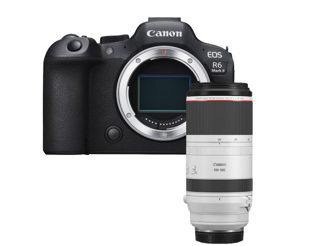 Canon EOS R6 Mark II + RF 100-500mm F4.5-7.1 L IS USM