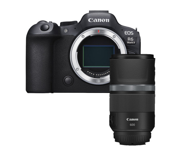 Canon EOS R6 Mark II + RF 600mm F11 IS STM