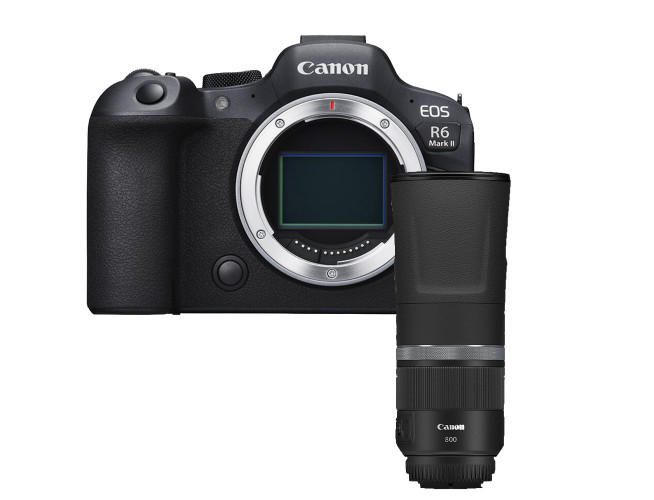 Canon EOS R6 Mark II + RF 800mm F11 IS STM