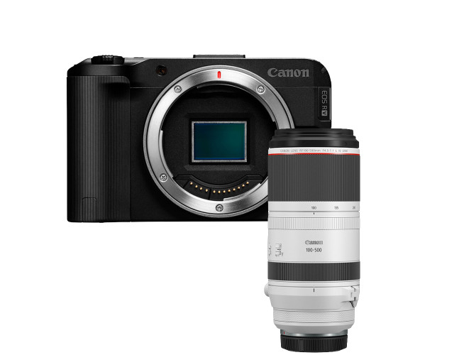 Canon EOS R50 V Body + RF 100-500mm F4.5-7.1 L IS USM