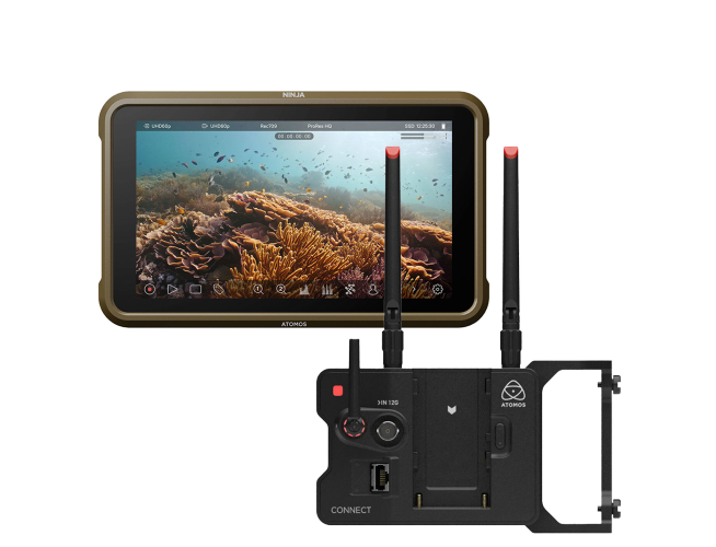 Atomos Ninja monitor 2023 + Connect