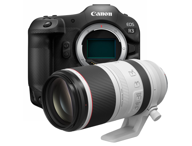 Canon EOS R3 + RF 100-500mm
