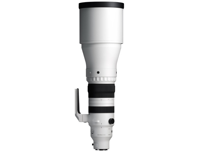 Sigma 300-600mm F4 DG OS Sports E-mount