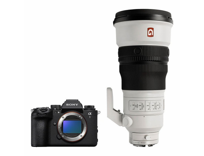 Sony A1 II + FE 300mm f/2.8 GM OSS