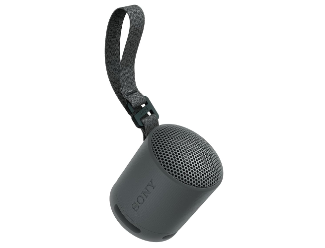 Sony SRS-XB100 Zwart