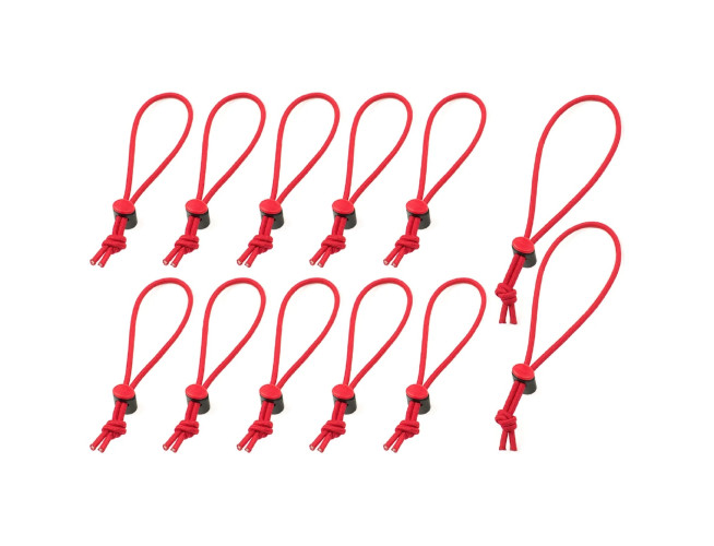 Think Tank Red Whips