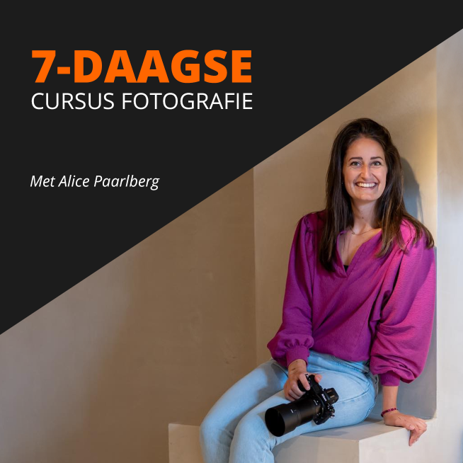 7-daagse cursus fotografie