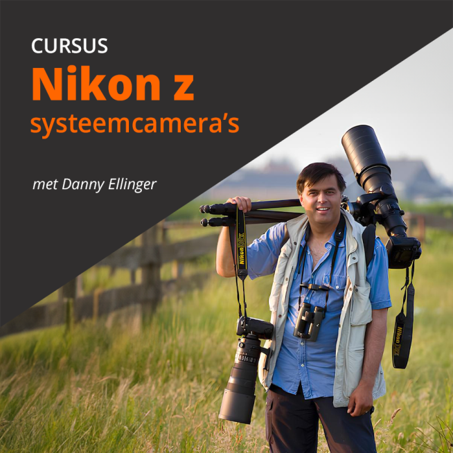Cursus Nikon Z systeemcamera’s