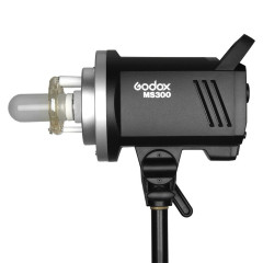 Godox MS300