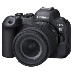 EOS R6 Mark II + RF 24-105mm f/4-7.1 IS STM