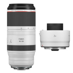 Canon RF 100-500MM f/4.5-7.1 L IS USM + RF 2.0x Extender