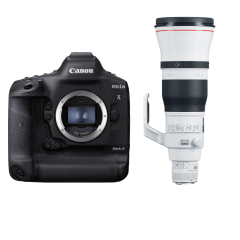 Canon EOS 1D X Mark III + EF 600mm f/4L IS III USM