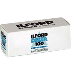 Ilford Delta 100 Prof. 120 1 rolfilm