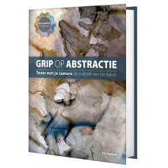 Grip op abstractie