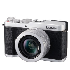 Panasonic LUMIX DC-L10 Zilver