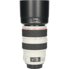 Tweedehands Canon EF 70-300mm f/4.0-5.6L IS USM CM6860