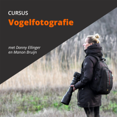 Cursus vogelfotografie