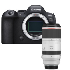 Canon EOS R6 Mark II + RF 100-500mm F4.5-7.1 L IS USM