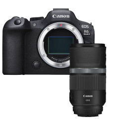 Canon EOS R6 Mark II + RF 600mm F11 IS STM 