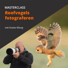 Masterclass roofvogels fotograferen