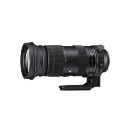 Sigma 60-600mm f/4.5-6.3 DG OS HSM Sports Nikon F