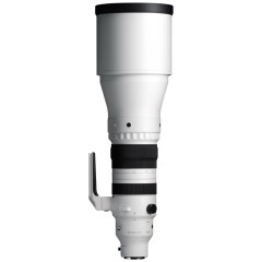 Sigma 300-600mm F4 DG OS Sports E-mount