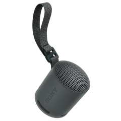 Sony SRS-XB100 Zwart