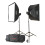 Godox MS300-F 2-Monolight Kit